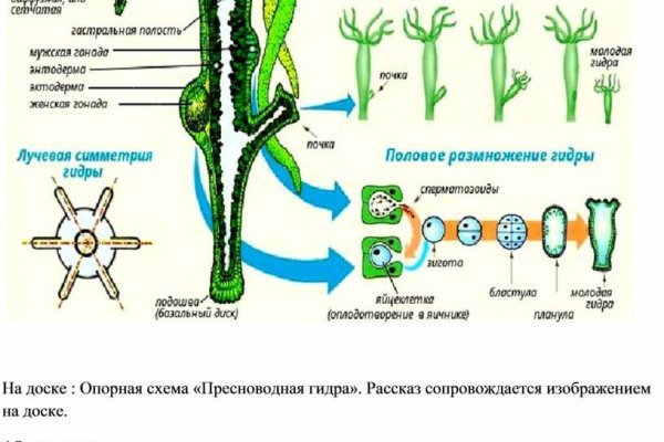 Купить гашиш телеграмм бошки